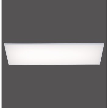 Paul Neuhaus FRAMELESS Panel LED Weiß, 1-flammig, Fernbedienung, Farbwechsler