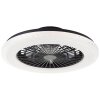 Brilliant Badria Deckenventilator LED Schwarz, 1-flammig, Fernbedienung