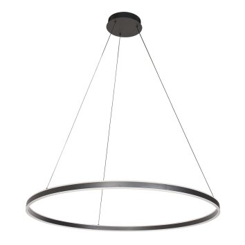 Steinhauer Ringlux Pendelleuchte LED Schwarz, 2-flammig