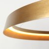 Steinhauer Ringlux Pendelleuchte LED Gold, 1-flammig