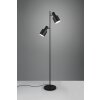 Trio Agudo Stehlampe Schwarz, 2-flammig