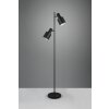 Trio Agudo Stehlampe Schwarz, 2-flammig