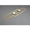 Trio ALBANY Pendelleuchte LED Schwarz-Gold, 1-flammig, Fernbedienung