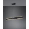 Trio Galway Pendelleuchte LED Schwarz, 1-flammig