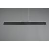 Trio Galway Pendelleuchte LED Schwarz, 1-flammig