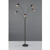 Trio Marley Stehlampe Schwarz, 5-flammig