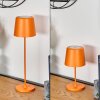 Belece Tischleuchte 2-er Set LED Orange, 1-flammig