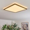 Antra Deckenpanel LED Gold, 1-flammig