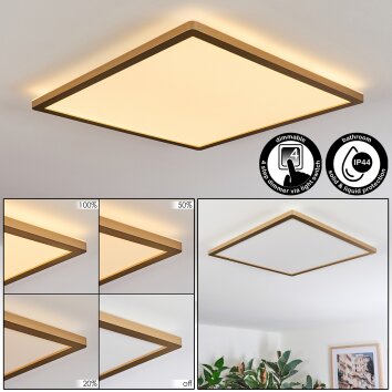 Antra Deckenpanel LED Gold, 1-flammig