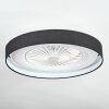 Benasal Deckenventilator mit Beleuchtung 55 cm LED Weiß, 1-flammig, Fernbedienung