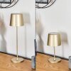 Belece Tischleuchte 2-er Set LED Gold, 1-flammig