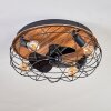 Tourais Deckenventilator mit Beleuchtung LED Holzoptik, Schwarz, 4-flammig, Fernbedienung