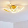 Aranu Deckenleuchte LED Gold, 4-flammig