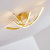 Aranu Deckenleuchte LED Gold, 4-flammig