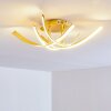 Aranu Deckenleuchte LED Gold, 4-flammig