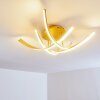 Aranu Deckenleuchte LED Gold, 4-flammig