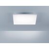 Paul Neuhaus FRAMELESS Panel LED Weiß, 1-flammig, Fernbedienung