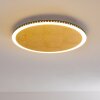 Aitrach Deckenleuchte LED Gold, 1-flammig