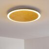 Aitrach Deckenleuchte LED Gold, 1-flammig