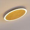 Aitrach Deckenleuchte LED Gold, 1-flammig