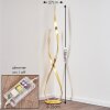 Medle Stehleuchte LED Gold, 1-flammig